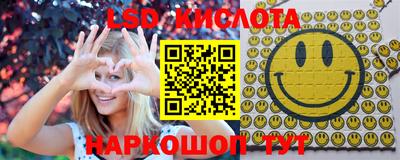 крисы Славгород
