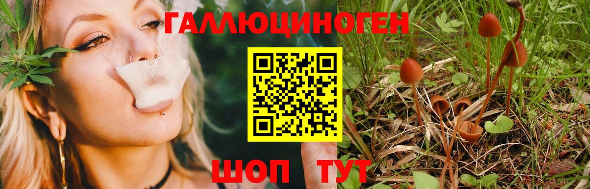 Новочебоксарск  Галлюциногенные грибы Cubensis  Вход с VPN  Галлюциногенные грибы ЛСД 